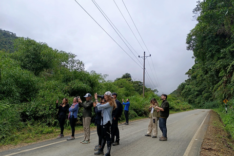 Manu: 2-daagse tour met gids door het regenwoud
