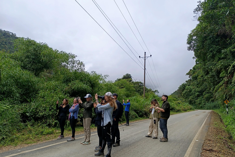 Manu: 2-daagse tour met gids door het regenwoud