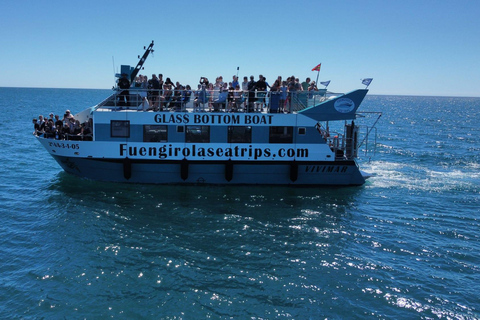 Fuengirola : Tour en catamaran pour repérer les dauphins