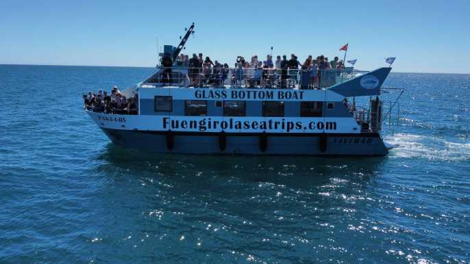 Fuengirola: Excursión en catamarán para avistar delfines