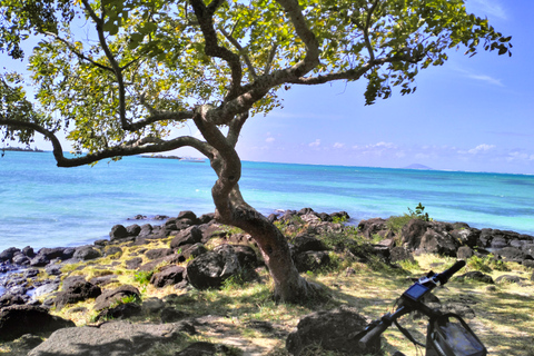 Autentyczna wycieczka z przewodnikiem na rowerze elektrycznym po północnym wybrzeżu