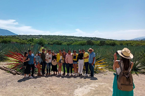 Oaxaca: Legenden Tour Mezcalbús