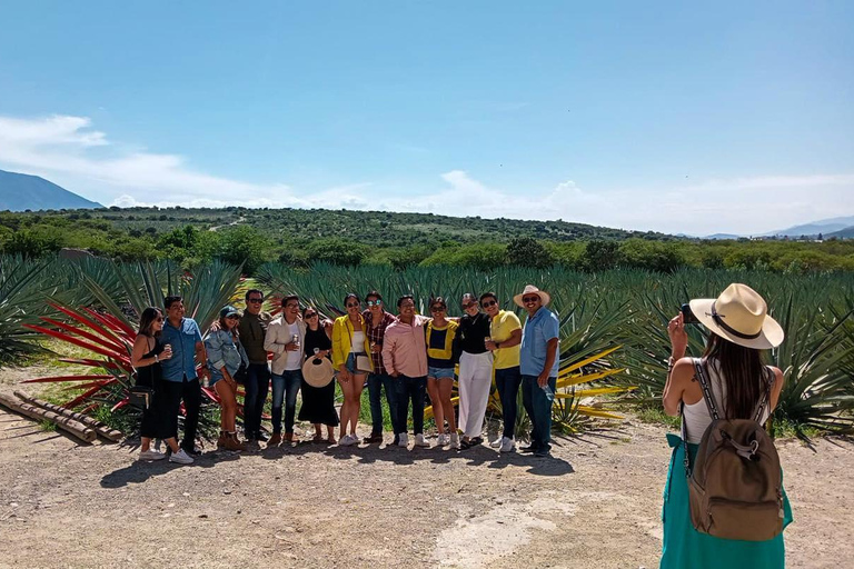 Oaxaca : Tour des légendes Mezcalbús