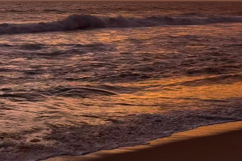 Kochi: Varkala 2-Day Trip with Kayaking & Jatayu