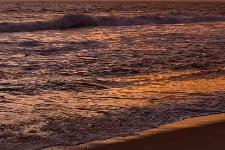 Kochi: Varkala 2-Day Trip with Kayaking & Jatayu