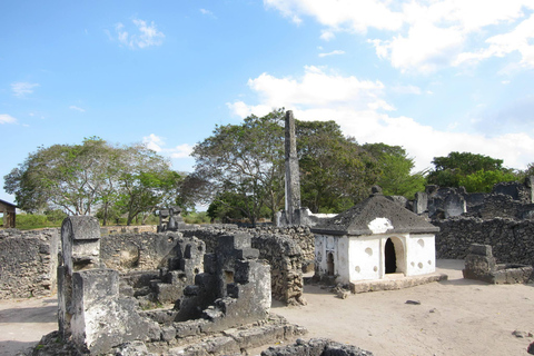 Dar es Salaam: escursione di un giorno alle rovine di Kaole e Bagamoyo con guidaDar es Salaam: escursione con guida alle rovine di Kaole e Bagamoyo