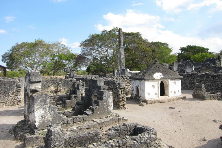 Dar es Salaam: escursione di un giorno alle rovine di Kaole e Bagamoyo con guidaDar es Salaam: escursione con guida alle rovine di Kaole e Bagamoyo