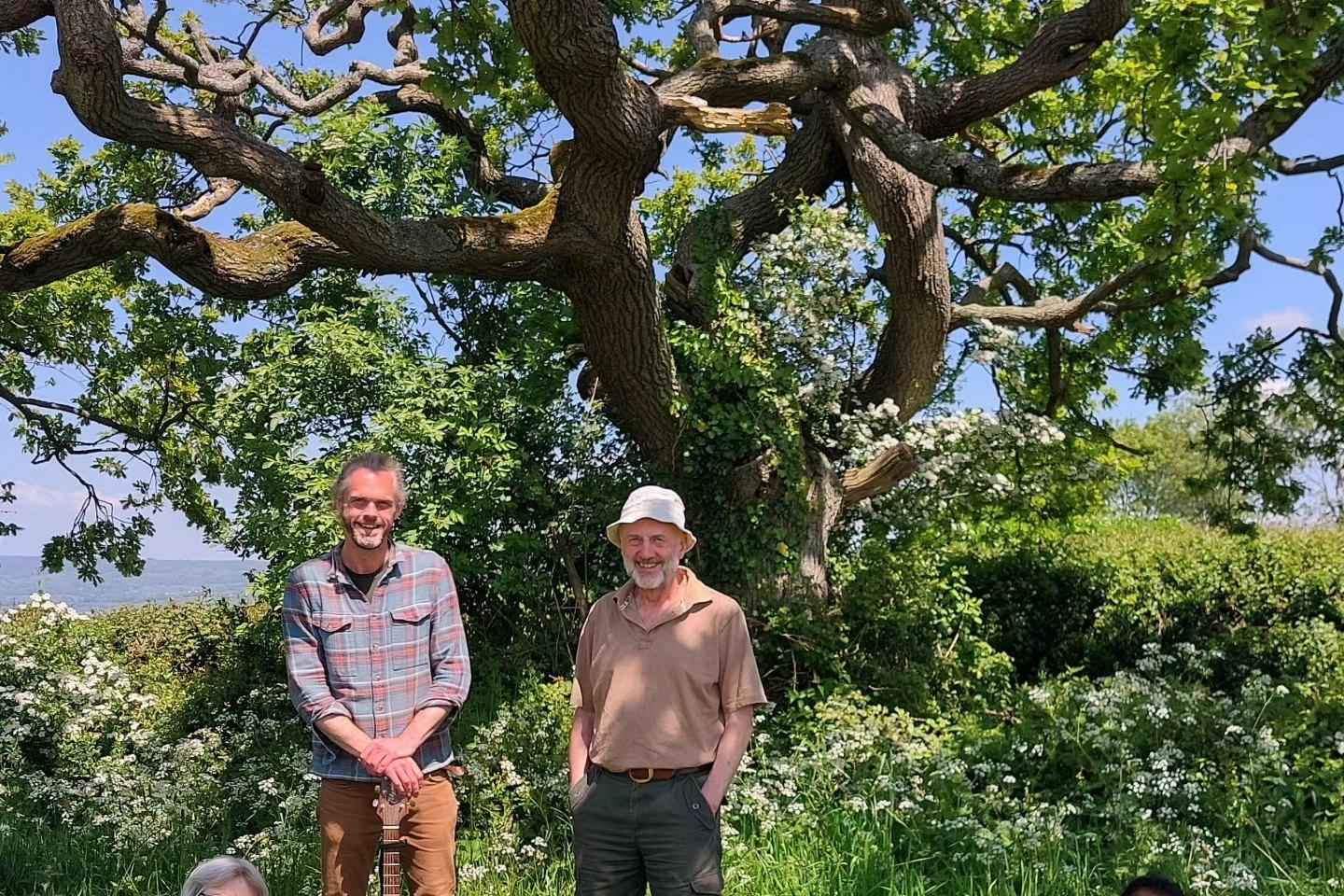 Eine Tour durch Glastonbury - Geleitet von den Bäumen