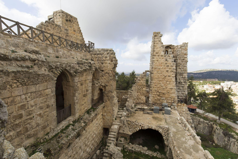 From Amman: Jerash and Ajloun Castle Private Full-Day Trip
