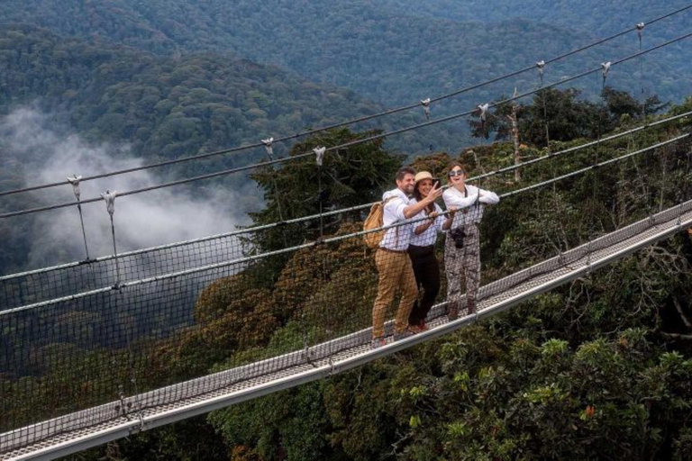 Kigali: 2-Day Nyungwe Canopy Walk, Zipline & Waterfall Tour
