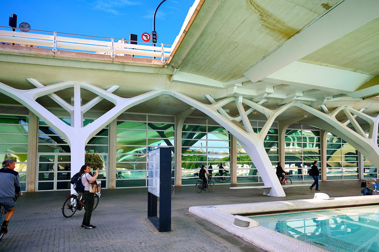 Valencia: tour guidato in e-bike dal centro storico alla Città delle ArtiTour guidato in bici d&#039;epoca
