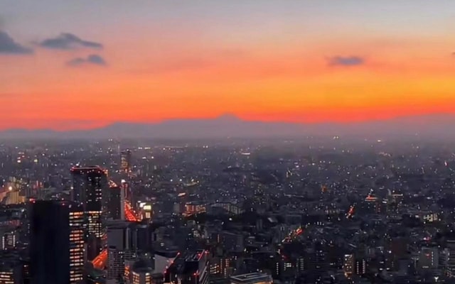 Tokyo: Asakusa & Shibuya Sky Sunset Half-day Customized Tour