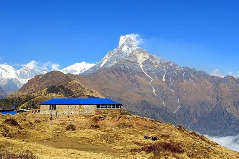 Mardi Himal Base Camp Trek 5-Day