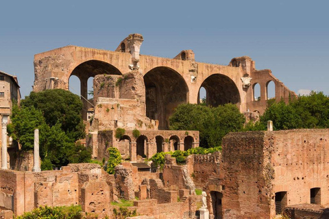 Rome : Forum romain et colline du Palatin visite guidée avec licence