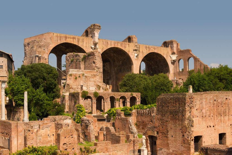 Rome : Forum romain et colline du Palatin visite guidée avec licence