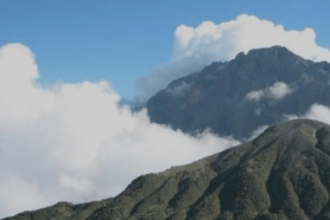 Arusha : 3 jours d&#039;ascension du Mont Meru en groupe