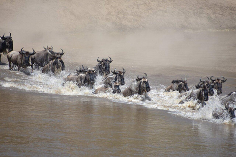 3-Day Calving Season Migration Southern Serengeti Safari