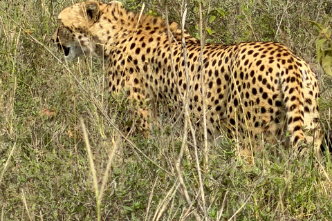 Nairobi: National Park Photography Expedition with Guide