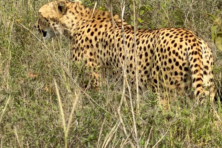 Nairobi: National Park Photography Expedition with Guide