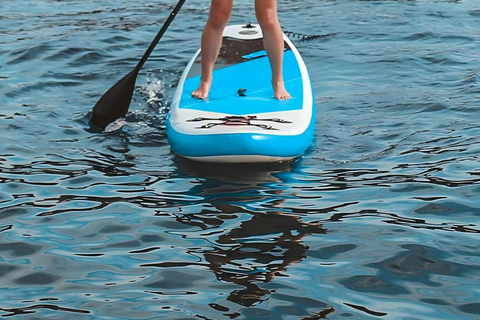 Phuket: Small-Group Catamaran to Coral & Racha Catamaran Day Tour to Coral & Racha Islands (No Transfer)