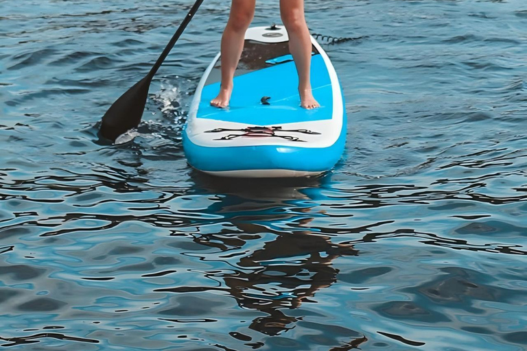 Phuket: Small-Group Catamaran to Coral & Racha Catamaran Day Tour to Coral & Racha Islands (No Transfer)