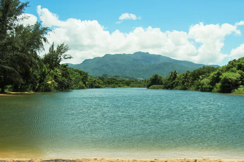 Carabalí Rainforest Park: Rainforest Horseback Riding Tour 2-Hour Horseback Ride