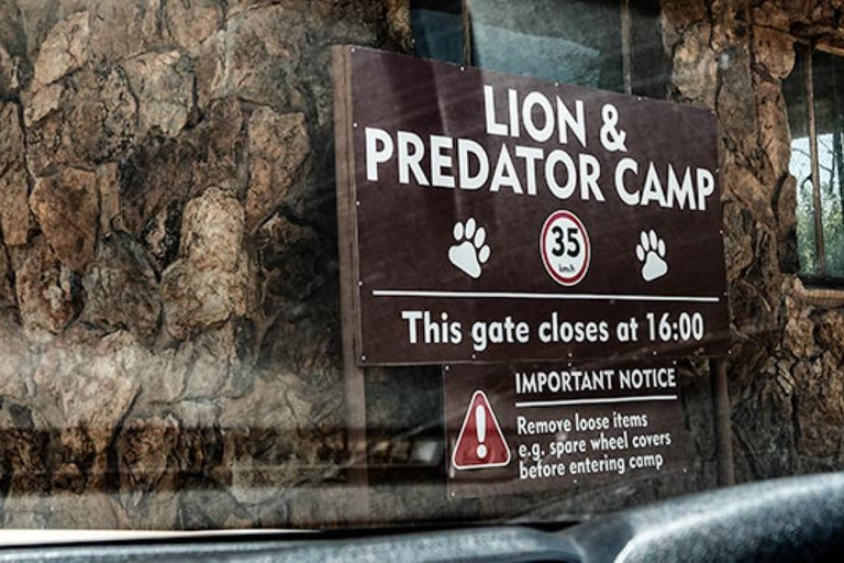 Johannesburg: Rhino and Lion Nature Reserve Half-Day Tour Private Tour Rate