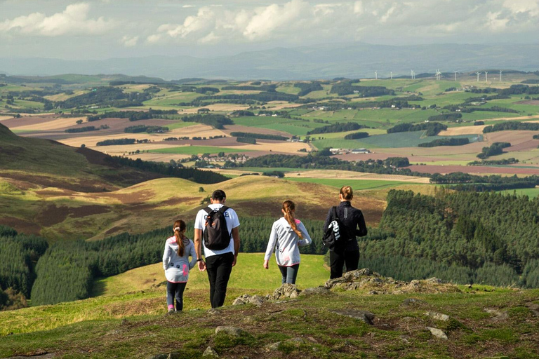 Hills, heather & Highland cows: Hiking in the Pentlands Hills, heather & Highland cows - Hiking in the Pentlands