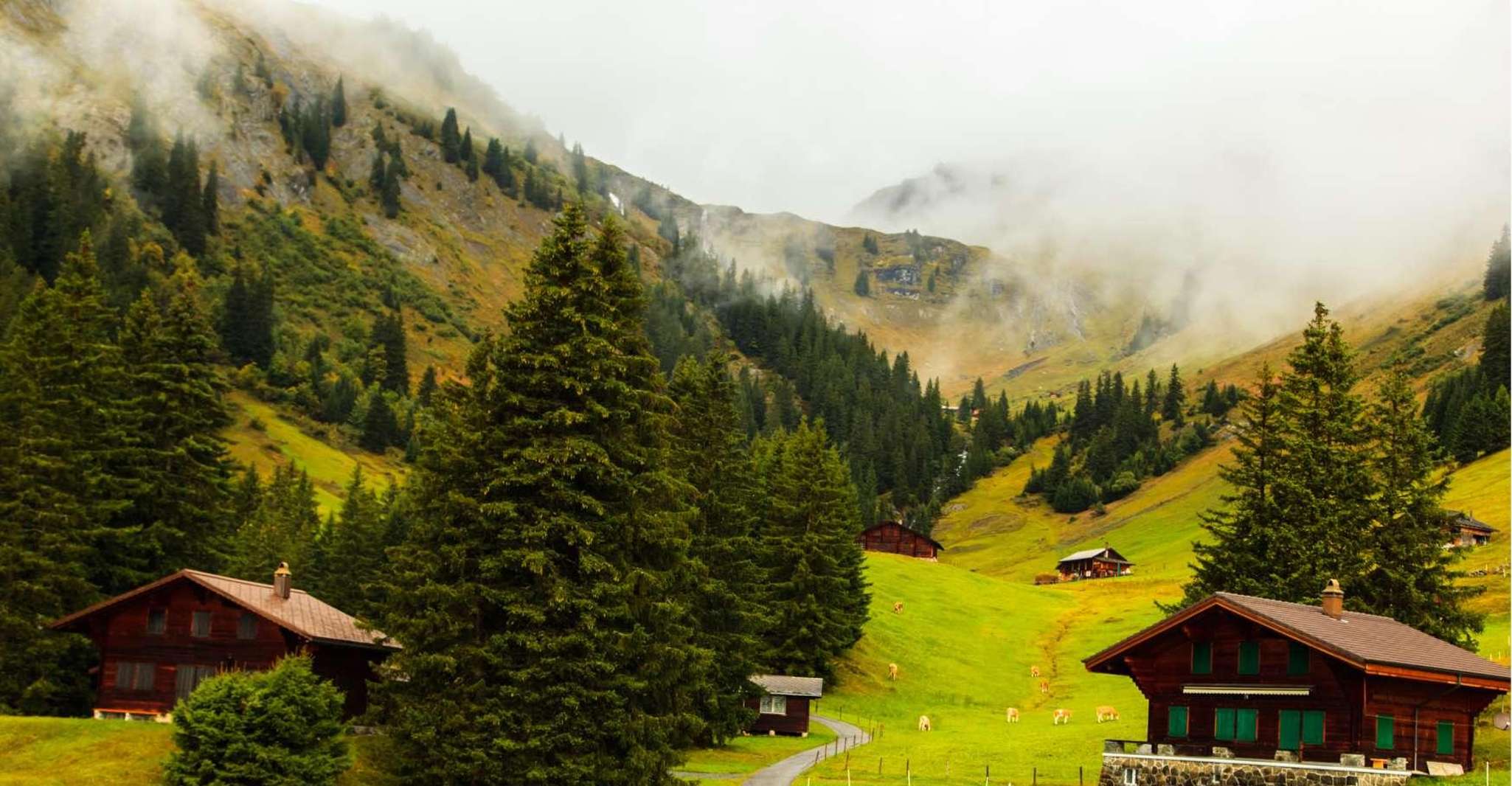 Lucerne, Experience Swiss Countryside on Private Tour by Car - Housity