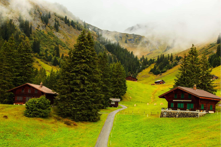 Zürich: Ervaar het Zwitserse platteland tijdens een privétour met de auto