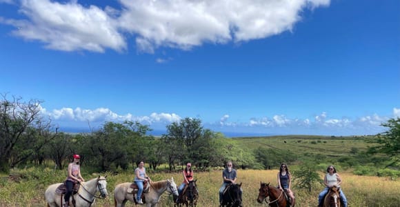 Maui: Scenic Fields and Mountain Horseback Ride