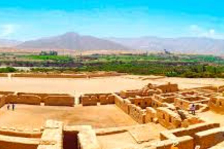 Tur till Paracas och Tambo Colorado för historieälskare