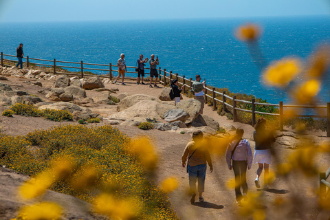 Lissabon: Sintra, kust en wijn Tour in kleine groepLissabon: Sintra, kust &amp; wijn Dagtour in kleine groep - Frans