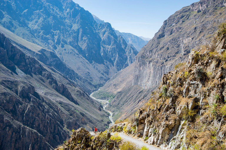 Arequipa: Cañón del Colca 1 día + DesayunoTour de día completo al Cañón del Colca