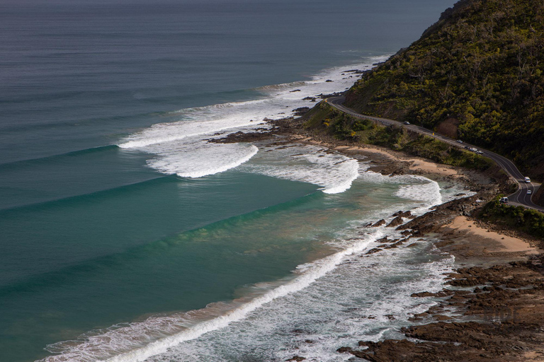 Melbourne: Great Ocean Road & Wildlife Tour for Backpackers Great Ocean Road & Wildlife Tour for Backpackers Aged 18-35