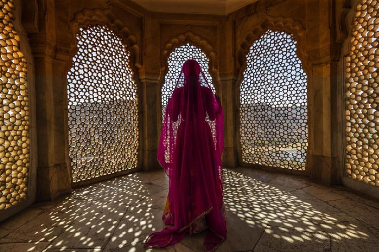 Jaipur: Full-day Sightseeing Jaipur City Private Tour by car