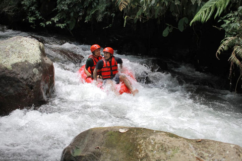 Avventura in tubing a Bali: Galleggiare in modo rinfrescante attraverso una giungla lussureggiante