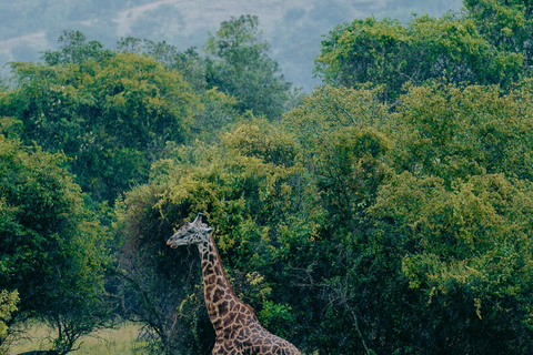 Kigali: Akagera National Park Safari with Boat Cruise