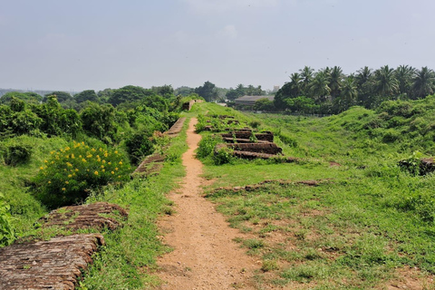 Z Bangalore: Mysore i Srirangapatna - 1-dniowa wycieczka z przewodnikiem