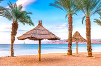 Transfer between Tel Aviv and Eilat - Hizvo