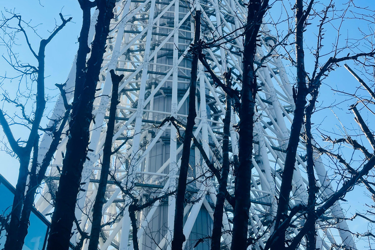Tokyo Luxury Private City Tour Customizable with Guide