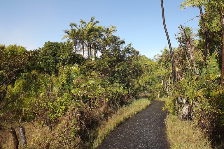 Victoria Falls Cross Border Guided Tour