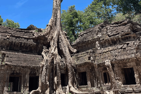 Siem Reap: Angkor Wat Day Trip with Japanese Live Guide Angkor Temples Small Group Tour – 1 Day (6 people max)