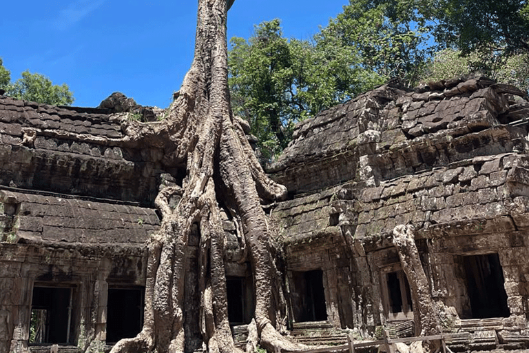 Siem Reap: Angkor Wat Day Trip with Japanese Live Guide Angkor Temples Small Group Tour – 1 Day (6 people max)