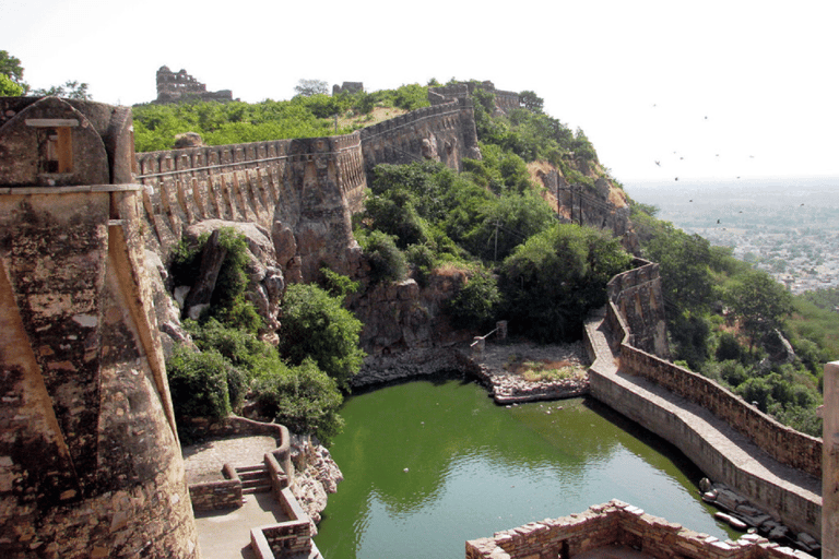 Découvrez le fort de Chittorgarh avec un arrêt à Pushkar depuis Udaipur