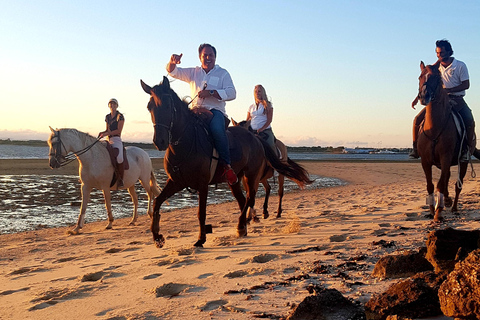 Horseback riding on the beach - PDTBeach horseback riding in group