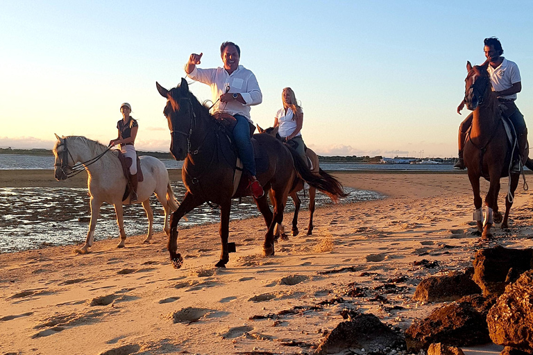 Horseback riding on the beach - PDTBeach horseback riding in group