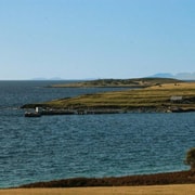 Maria Island National Park Wildlife & Scenic Day Tour