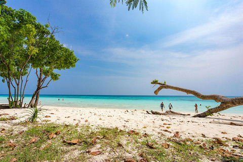 Ko Lanta: Koh Rok y Koh Haa Excursión de snorkel por las gemas de Andamán