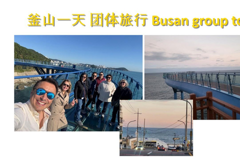 Busan: Kleingruppentour für Kreuzfahrtschiffpassagiere[kleine Gruppe] Englischsprachiger Reiseleiter